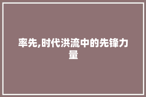 率先,时代洪流中的先锋力量
