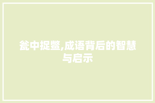 瓮中捉鳖,成语背后的智慧与启示