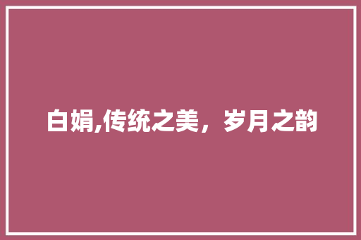 白娟,传统之美，岁月之韵