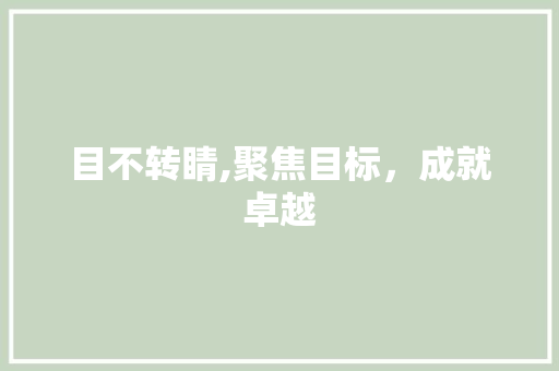 目不转睛,聚焦目标，成就卓越