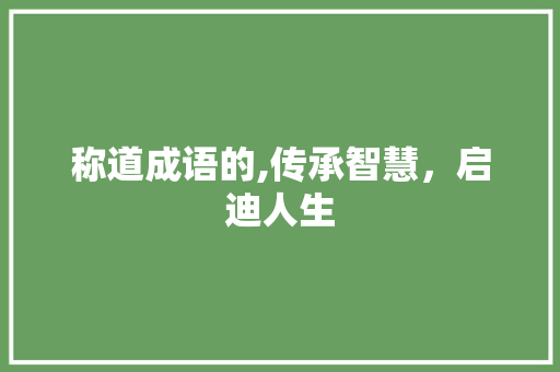 称道成语的,传承智慧，启迪人生