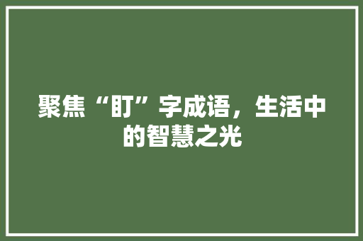 聚焦“盯”字成语，生活中的智慧之光 成语大全