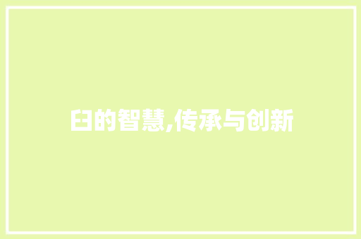 臼的智慧,传承与创新