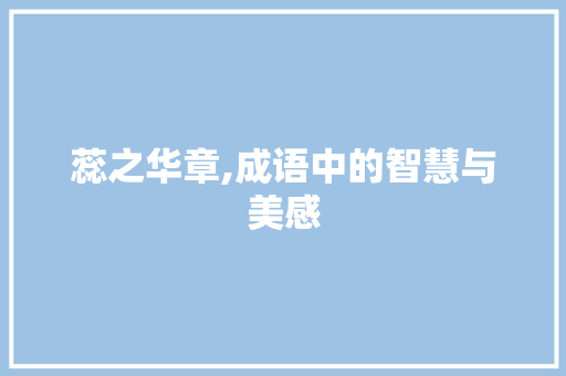 蕊之华章,成语中的智慧与美感