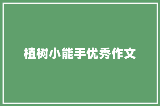自我素养提升计划,开启人生新篇章