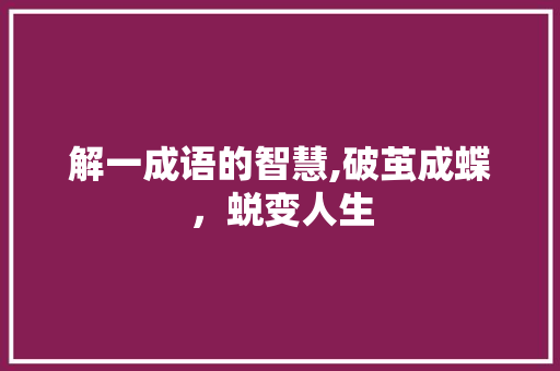 解一成语的智慧,破茧成蝶，蜕变人生 成语大全