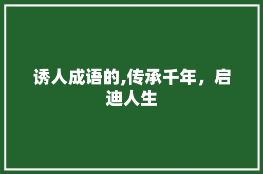 诱人成语的,传承千年，启迪人生
