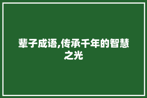 辈子成语,传承千年的智慧之光 工作总结