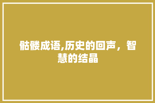骷髅成语,历史的回声，智慧的结晶