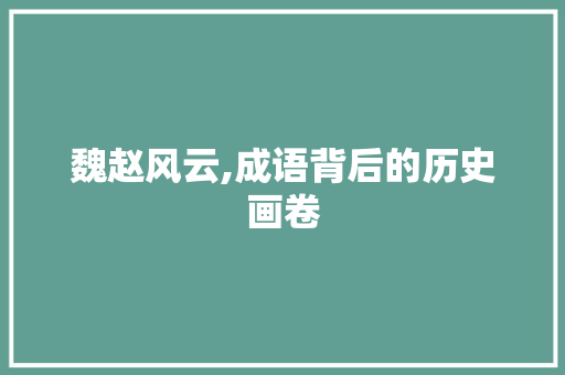 魏赵风云,成语背后的历史画卷 工作总结