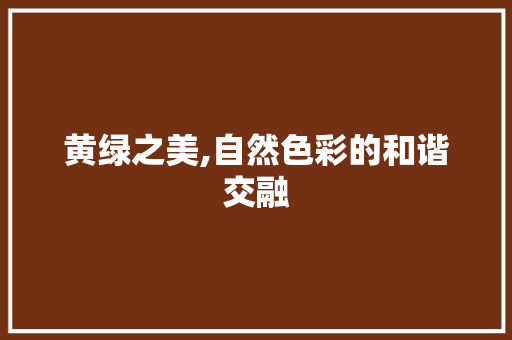 黄绿之美,自然色彩的和谐交融