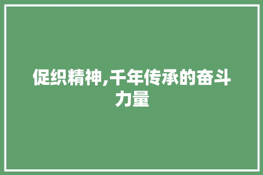 促织精神,千年传承的奋斗力量