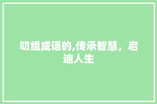 叨组成语的,传承智慧，启迪人生
