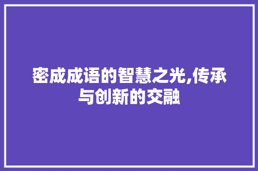 密成成语的智慧之光,传承与创新的交融