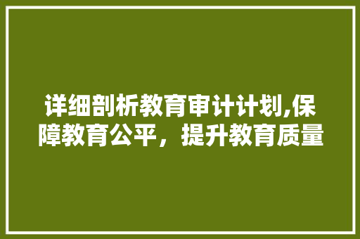 详细剖析教育审计计划,保障教育公平，提升教育质量
