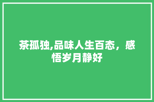茶孤独,品味人生百态，感悟岁月静好