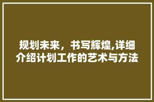 规划未来，书写辉煌,详细介绍计划工作的艺术与方法