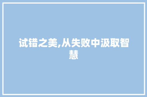 试错之美,从失败中汲取智慧