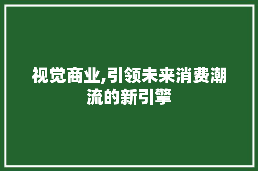 视觉商业,引领未来消费潮流的新引擎