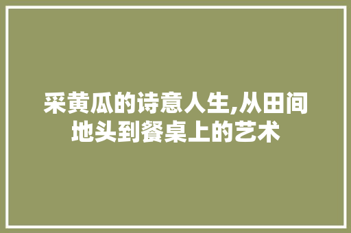 采黄瓜的诗意人生,从田间地头到餐桌上的艺术