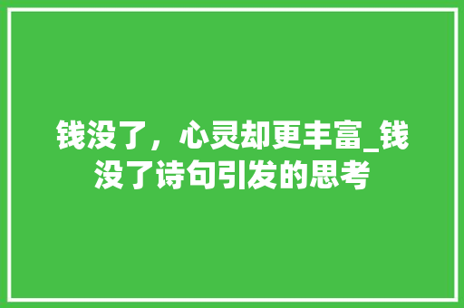 钱没了，心灵却更丰富_钱没了诗句引发的思考