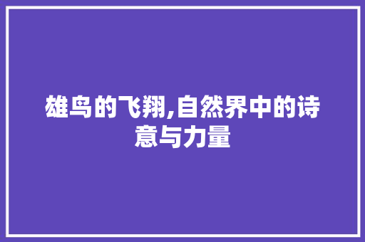 雄鸟的飞翔,自然界中的诗意与力量