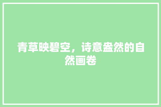 青草映碧空，诗意盎然的自然画卷