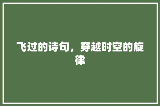 飞过的诗句，穿越时空的旋律