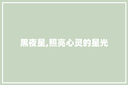 黑夜星,照亮心灵的星光