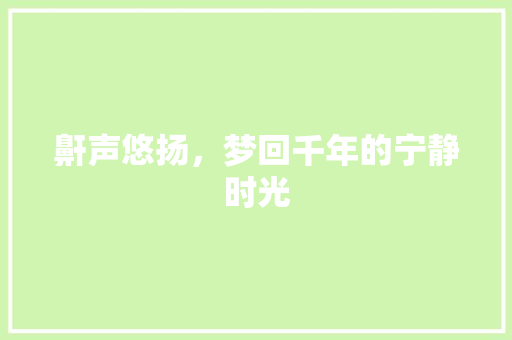 鼾声悠扬，梦回千年的宁静时光