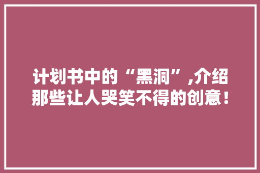 计划书中的“黑洞”,介绍那些让人哭笑不得的创意！