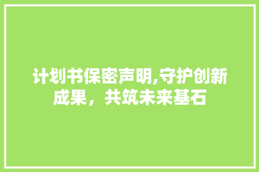 计划书保密声明,守护创新成果，共筑未来基石