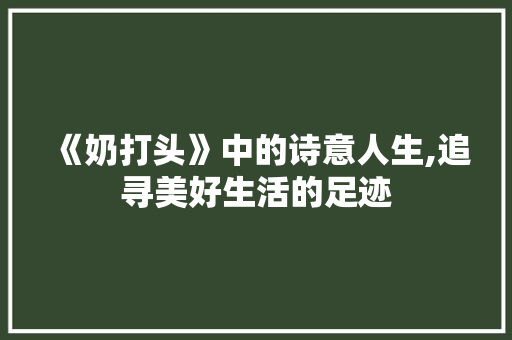 《奶打头》中的诗意人生,追寻美好生活的足迹