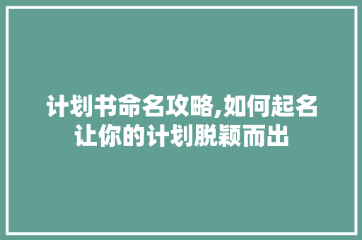 计划书命名攻略,如何起名让你的计划脱颖而出