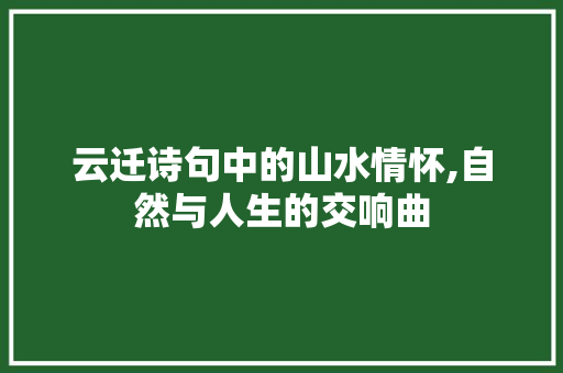 云迁诗句中的山水情怀,自然与人生的交响曲
