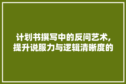 计划书撰写中的反问艺术,提升说服力与逻辑清晰度的关键步骤