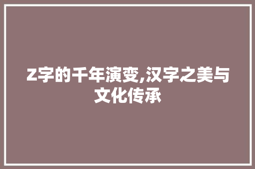 Z字的千年演变,汉字之美与文化传承 成语大全