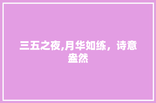 三五之夜,月华如练，诗意盎然