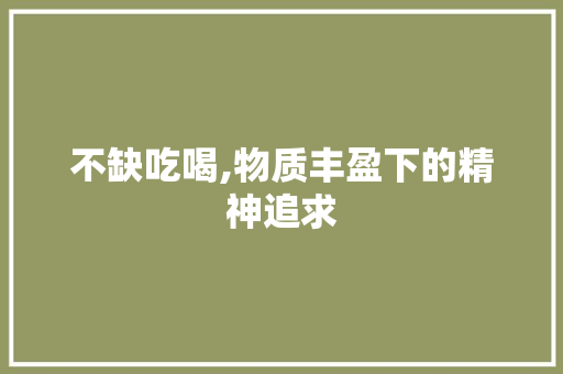 不缺吃喝,物质丰盈下的精神追求