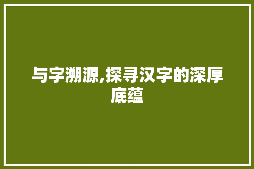 与字溯源,探寻汉字的深厚底蕴