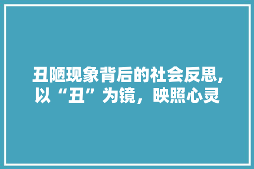 丑陋现象背后的社会反思,以“丑”为镜，映照心灵 合同范本