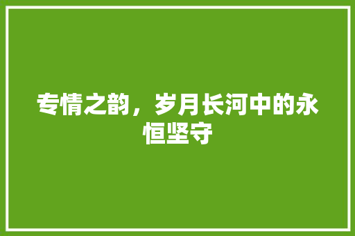 专情之韵，岁月长河中的永恒坚守