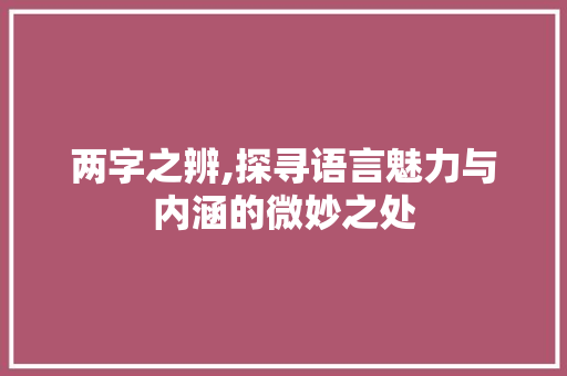 两字之辨,探寻语言魅力与内涵的微妙之处