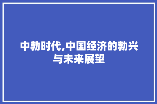 中勃时代,中国经济的勃兴与未来展望
