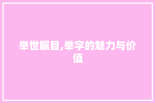 举世瞩目,举字的魅力与价值 工作总结