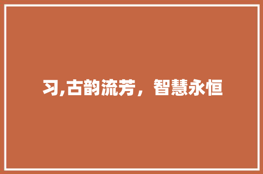 习,古韵流芳，智慧永恒 名人名言