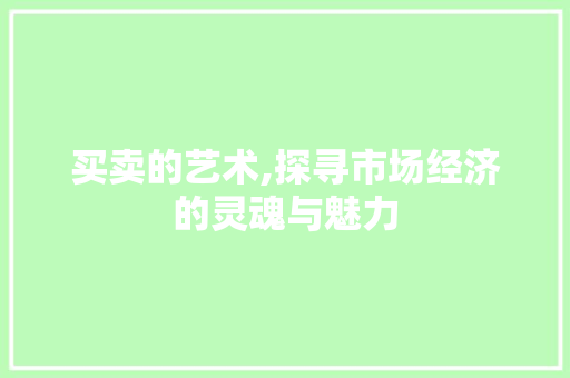 买卖的艺术,探寻市场经济的灵魂与魅力