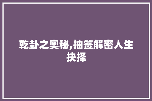 乾卦之奥秘,抽签解密人生抉择