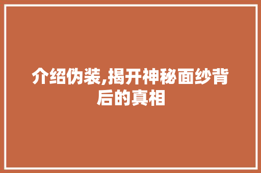 介绍伪装,揭开神秘面纱背后的真相