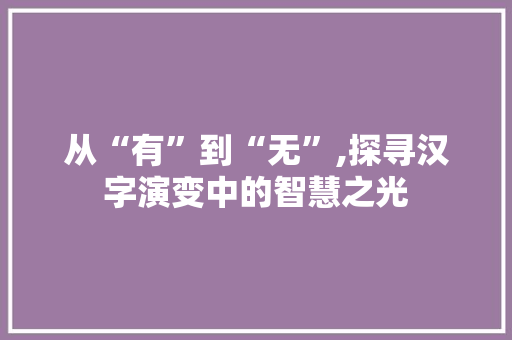 从“有”到“无”,探寻汉字演变中的智慧之光 工作计划